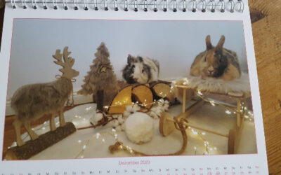 Unsere Kalender sind da!