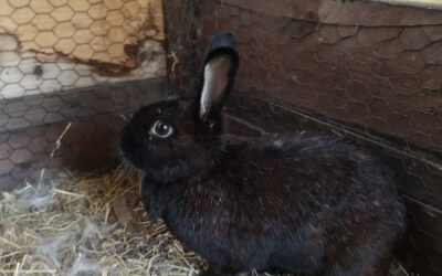 Bounty –  Zuhause gefunden