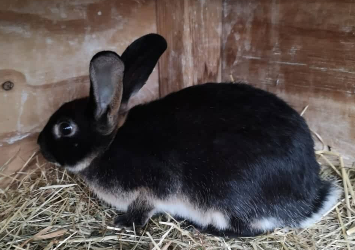 JACK – Zuhause gefunden