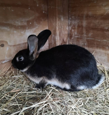 JACK – Zuhause gefunden