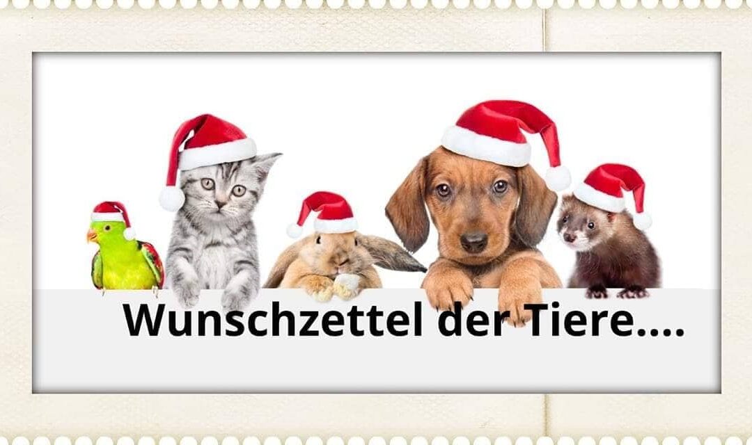 Wunschzettel der Tiere