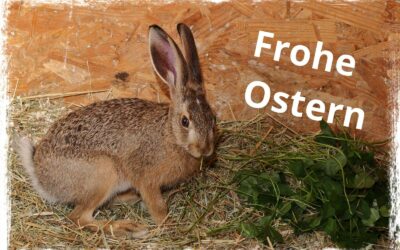 Frohe Ostern