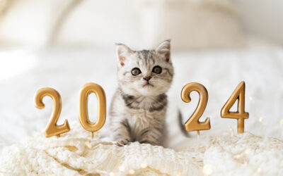 Alles Gute für 2024