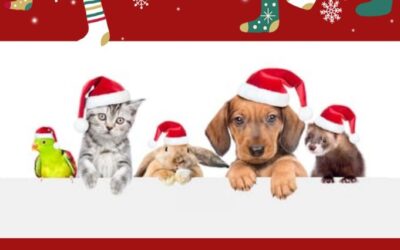 Unsere tierische Wunschzettel-Aktion